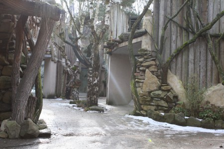zoo-jihlava-zoo-5-kontinentu - vybehy-levhartu